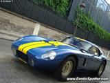 Shelby Daytona