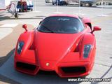 Ferrari Enzo