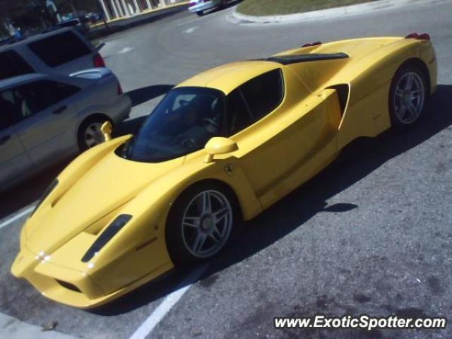 Ferrari Enzo spotted in Sarasota, Florida