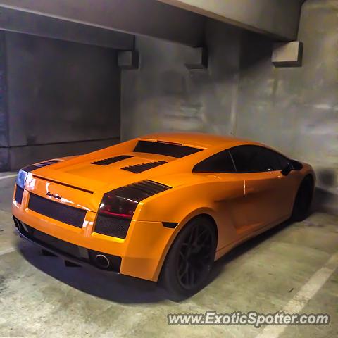 Lamborghini Gallardo spotted in Bloomington, Indiana