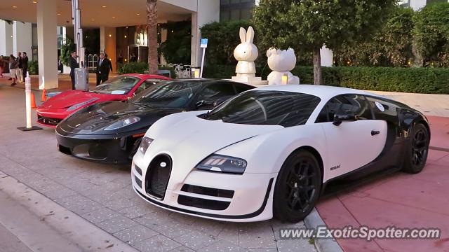 Ferrari F430 spotted in Miami, Florida