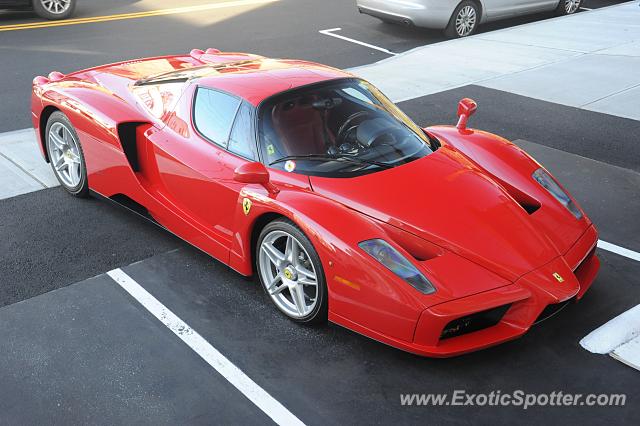 Ferrari Enzo spotted in Greenwich, CT, Connecticut