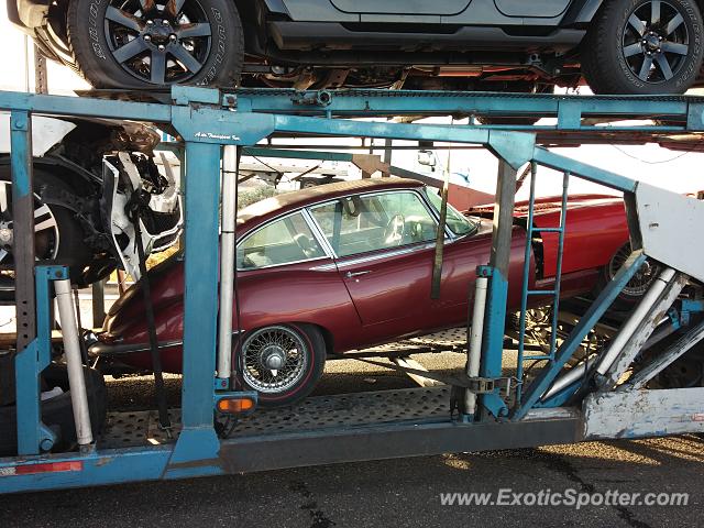 Jaguar E-Type spotted in Eloy, Arizona
