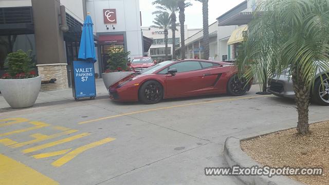 Lamborghini Gallardo spotted in Corpus, Texas