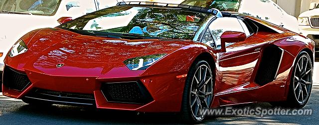 Lamborghini Aventador spotted in Menlo park, California