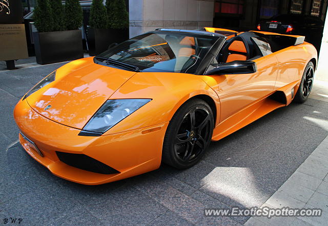 Lamborghini Murcielago spotted in Toronto, Canada