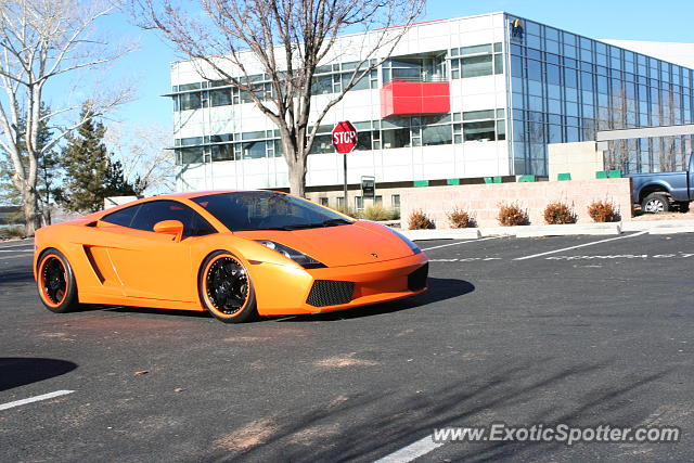 Lamborghini Gallardo spotted in Albuquerque, New Mexico