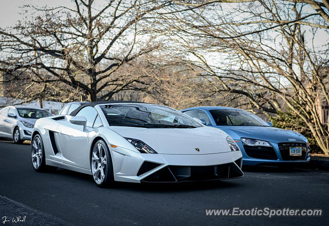 Lamborghini Gallardo spotted in Greenwich, Connecticut