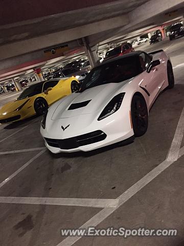 Chevrolet Corvette Z06 spotted in Bal Harbour, Florida