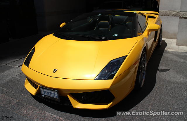 Lamborghini Gallardo spotted in Toronto, Canada