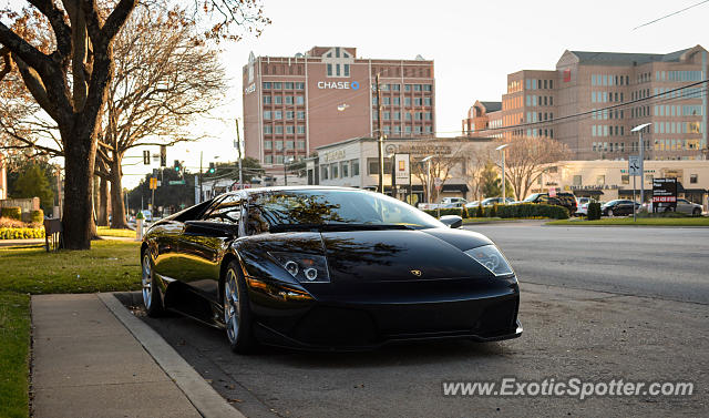 Lamborghini Murcielago spotted in Dallas, Texas