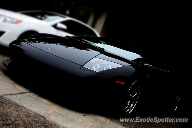 Lamborghini Murcielago spotted in Monterey, California