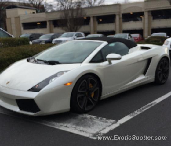 Lamborghini Gallardo spotted in Charlotte, North Carolina