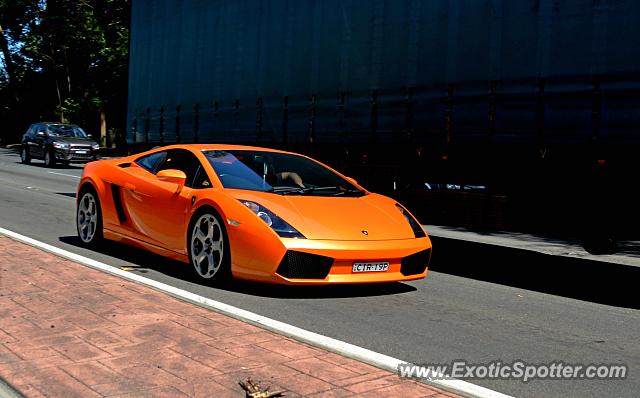 Lamborghini Gallardo spotted in Sydney, Australia