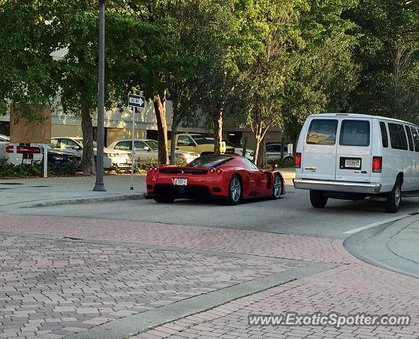 Ferrari Enzo spotted in Palm Beach, Florida