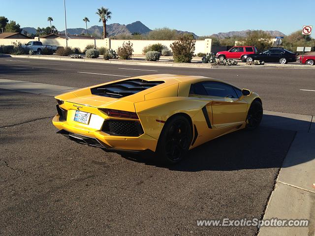 Lamborghini Aventador spotted in Scottsdale, Arizona