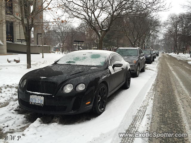 Bentley Continental spotted in Toronto, Canada
