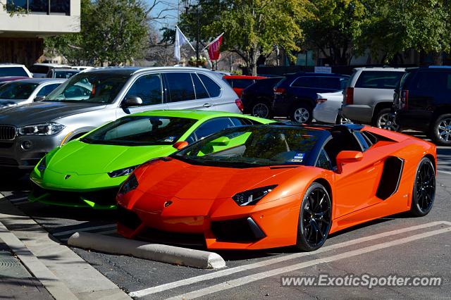 Lamborghini Aventador spotted in Dallas, Texas