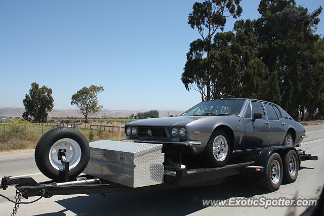 Iso Rivolta Grifo spotted in Highway 101, California