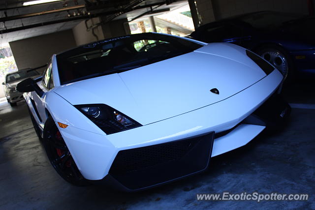 Lamborghini Gallardo spotted in Monterey, California