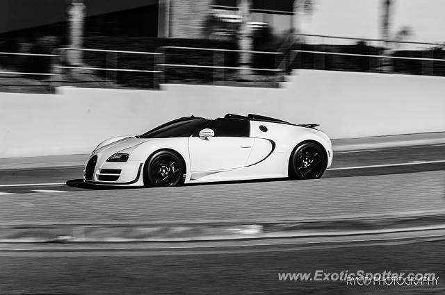 Bugatti Veyron spotted in San Diego, California