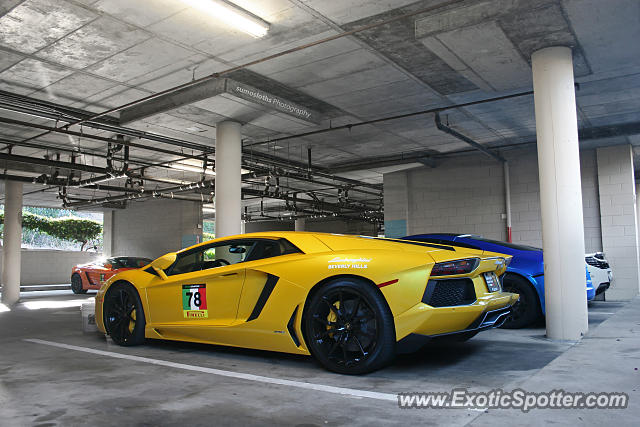 Lamborghini Aventador spotted in Monterey, California