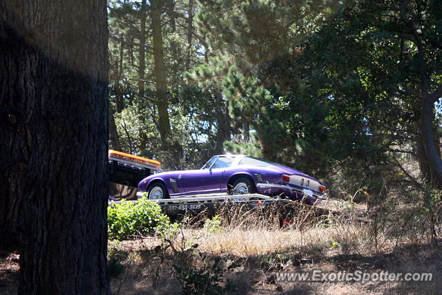Iso Rivolta Grifo spotted in Monterey, California