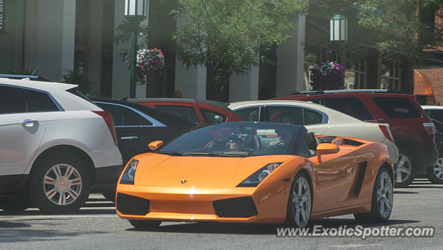 Lamborghini Gallardo spotted in Birmingham, Michigan