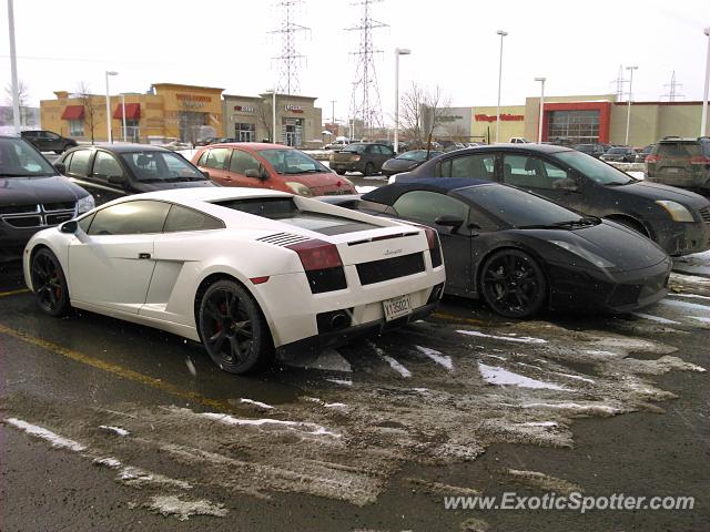 Lamborghini Gallardo spotted in Québec, Qc, Canada