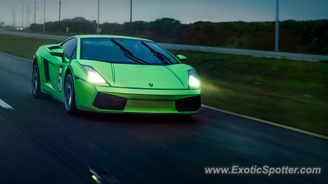 Lamborghini Gallardo spotted in Palm Beach, Florida