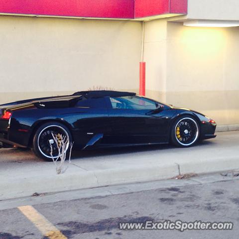 Lamborghini Murcielago spotted in Highlands Ranch, Colorado