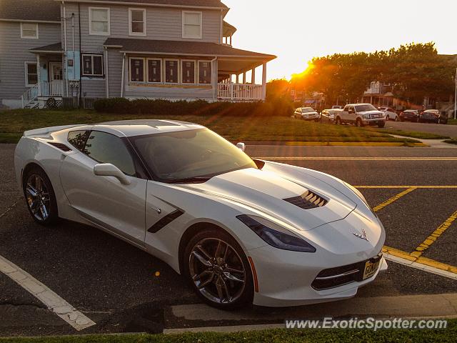 Other Other spotted in Avon-by-the-Sea, New Jersey