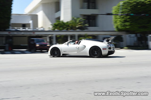 Bugatti Veyron spotted in Bal Harbour, Florida