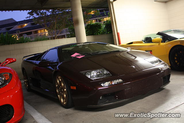 Lamborghini Diablo spotted in Monterey, California