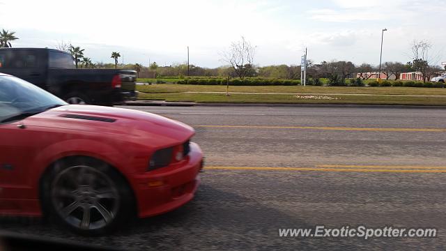 Saleen S281 spotted in Corpus Christi, Texas