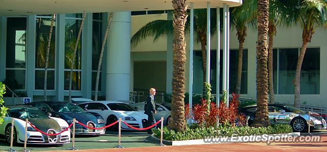 Bugatti Veyron spotted in Miami, Florida