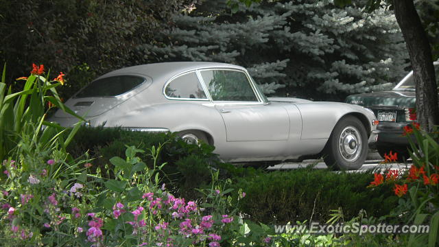 Jaguar E-Type spotted in Cherry Hills, Colorado