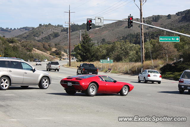 DeTomaso Mangusta spotted in Monterey, California