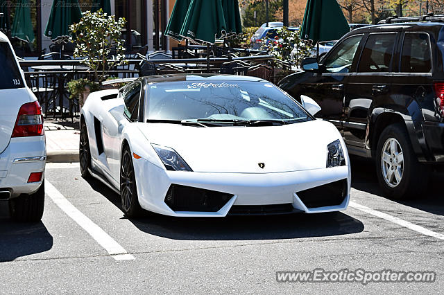 Lamborghini Gallardo spotted in Charlotte, North Carolina