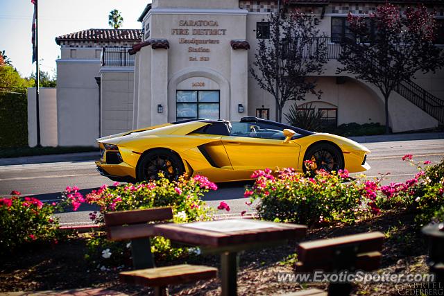 Lamborghini Aventador spotted in Saratoga, California