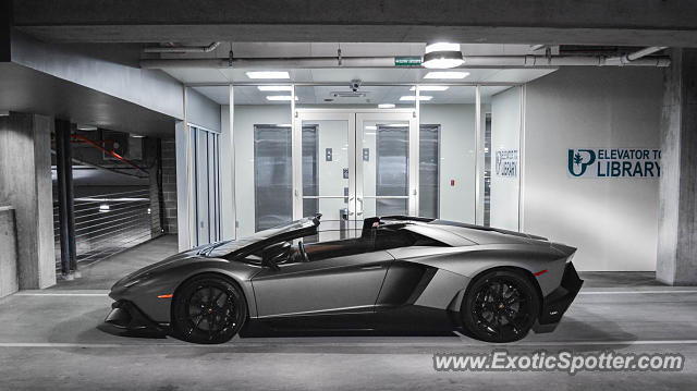 Lamborghini Aventador spotted in Dallas, Texas