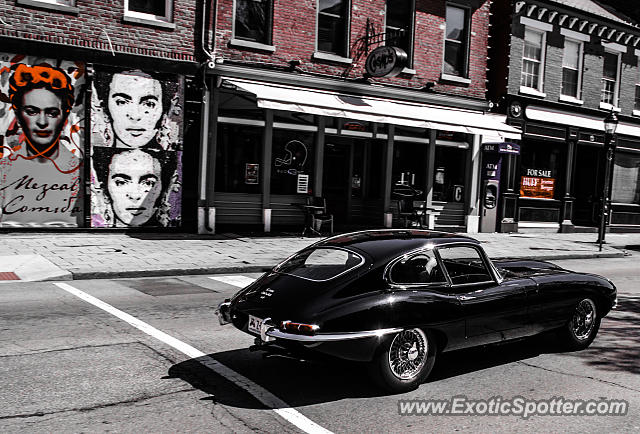 Jaguar E-Type spotted in Covington, Kentucky