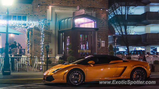 Lamborghini Gallardo spotted in Birmingham, Michigan