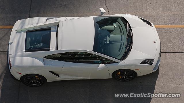 Lamborghini Gallardo spotted in Toronto, Canada