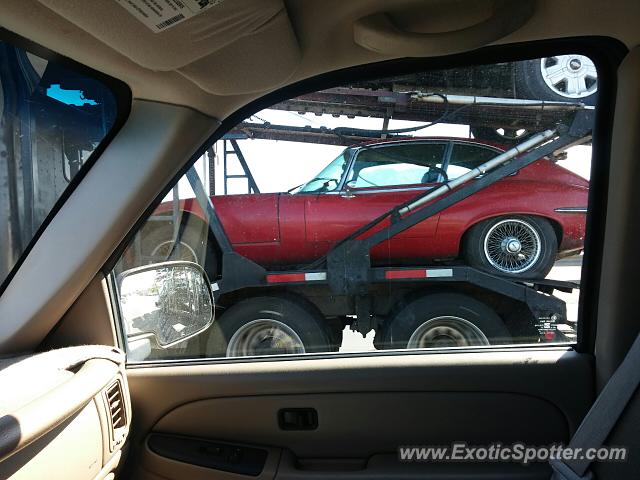 Jaguar E-Type spotted in Tucson, Arizona
