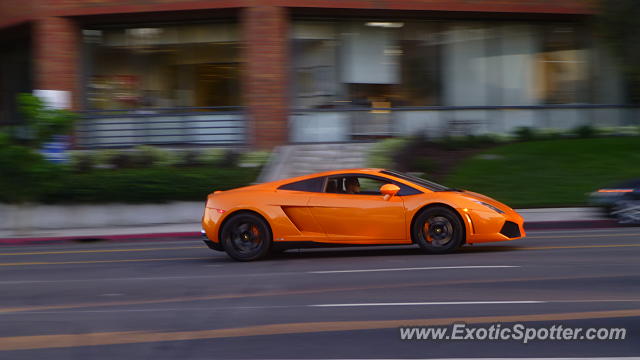 Lamborghini Gallardo spotted in Encino, California