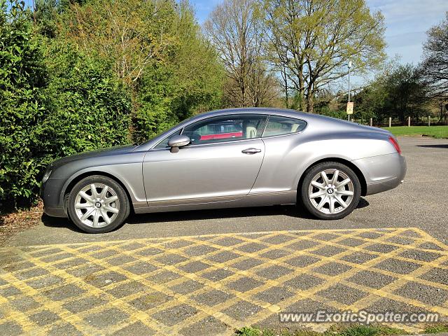 Bentley Continental spotted in Bracknell, United Kingdom