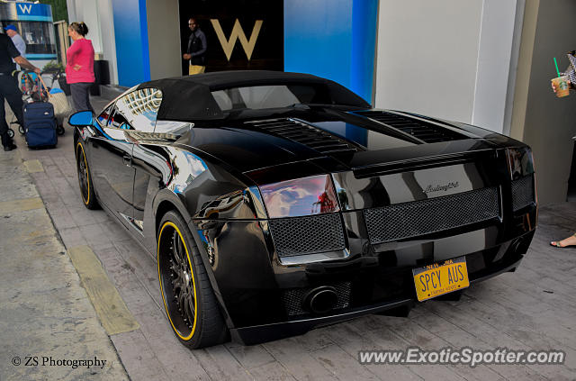Lamborghini Gallardo spotted in Fort Lauderdale, Florida