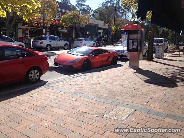 Lamborghini Gallardo spotted in Kirrawee, Australia