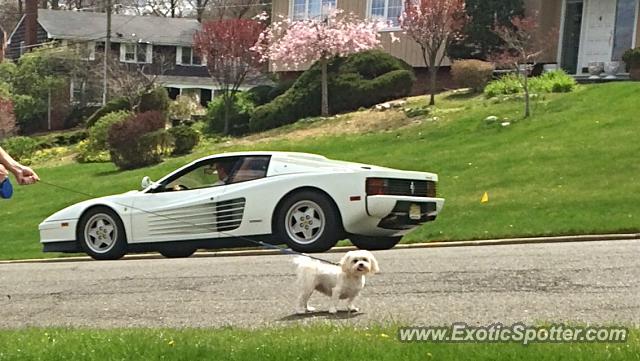 Ferrari Testarossa spotted in Ridgewood, New Jersey